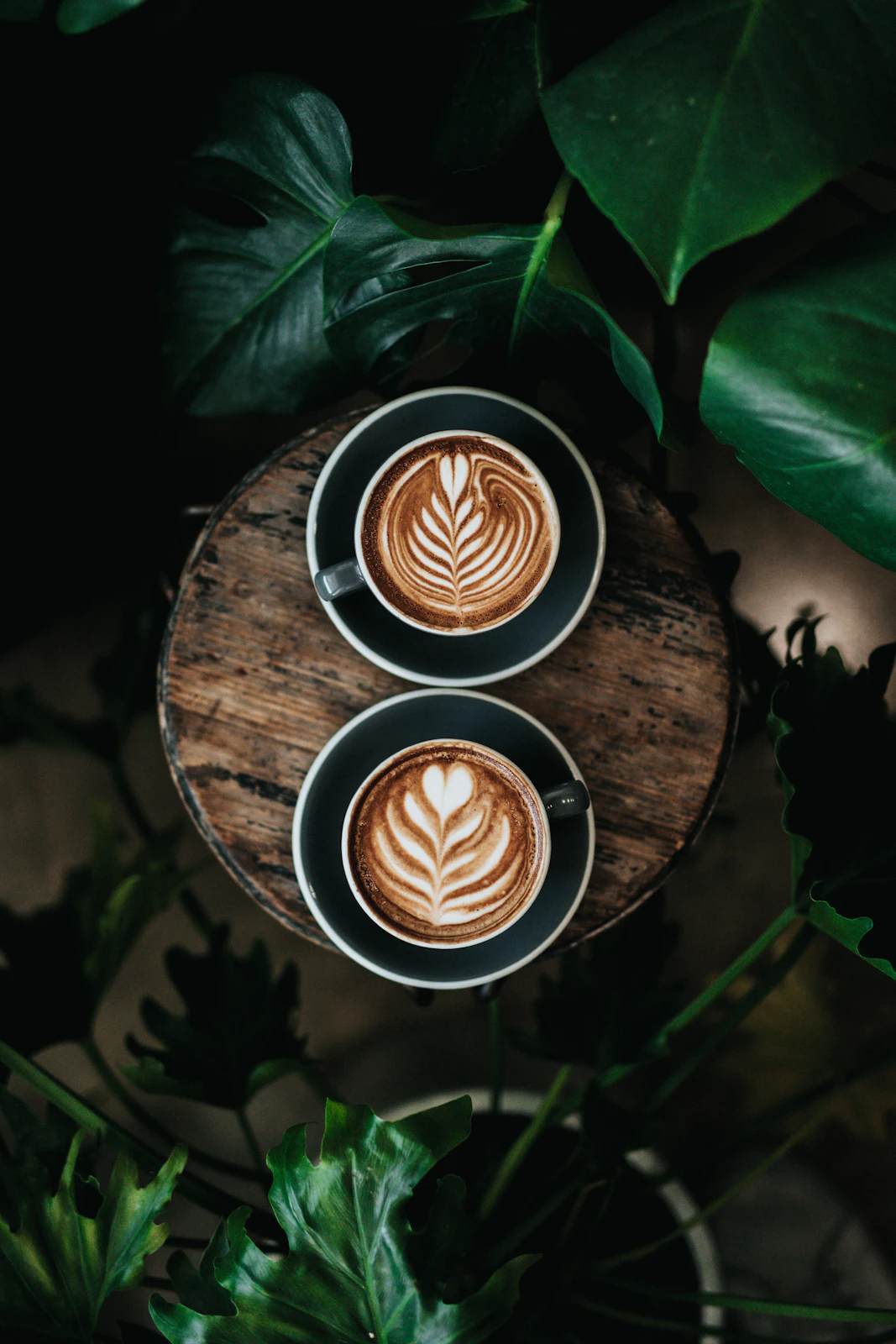 Harbor Coffee rebrand